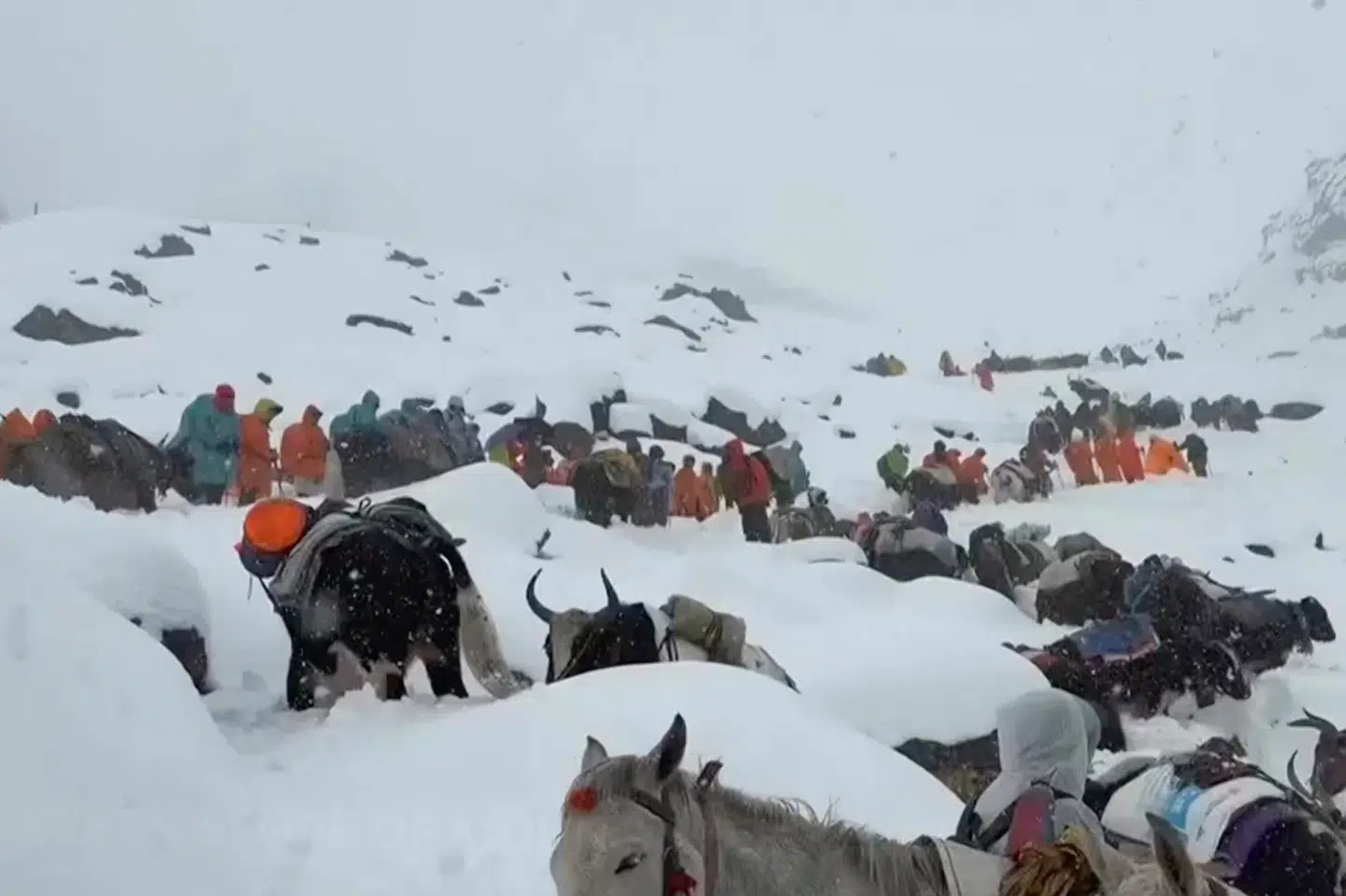 Lokale beboere ved Mount Everest bruger yakokser og heste i redningsarbejdet, efter flere hundrede vandrere er blevet fanget i en snestorm.