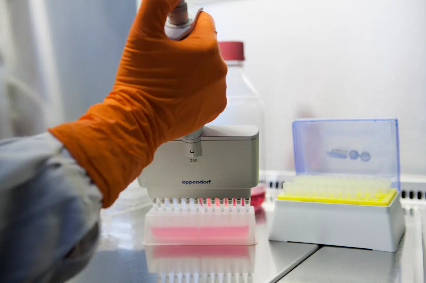 Kapitalfondene Nordic Capital og Permira har budt 19 milliarder kroner for det danske medicinalselskab Bavarian Nordic.