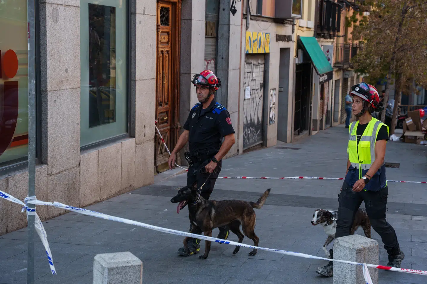 Beredskabet i Spanien har brugt hunde til at lede efter savnede mennesker i murbrokkerne, efter at en bygning delvist styrtede sammen i Madrid tirsdag.