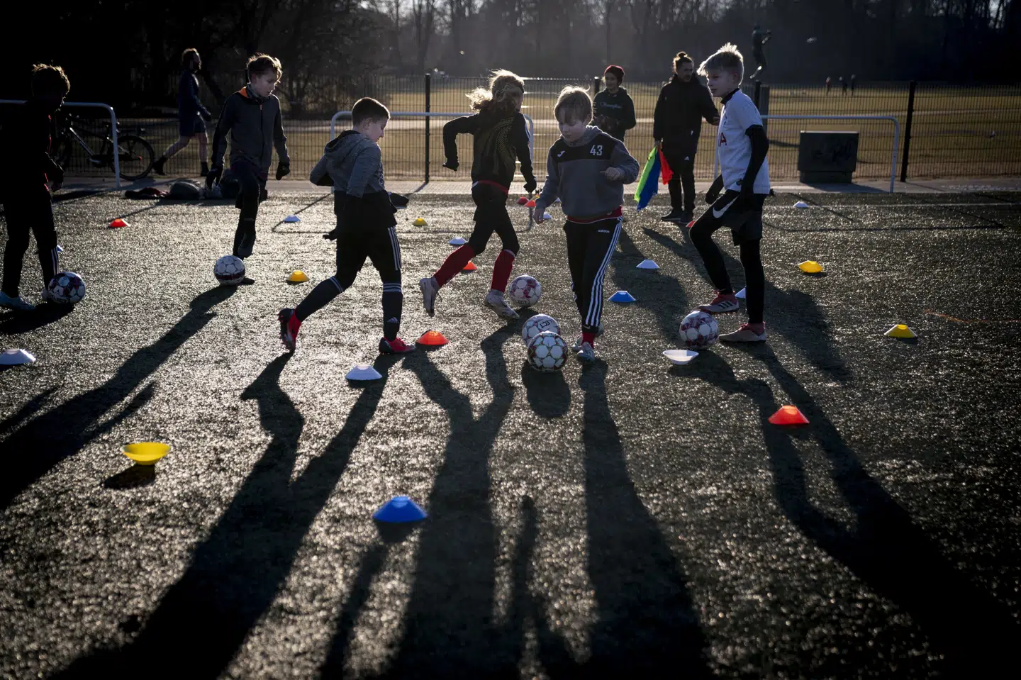 Danmark i Bevægelse vil kortlægge befolkningens bevægelsesvaner i alle aldre. Ikke kun til idræt og motion, men også på arbejde, i hjemmet, når man cykler på arbejde eller går tur med hunden. (Arkivfoto).