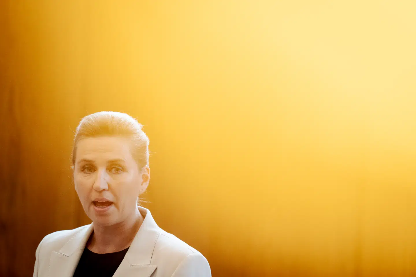 En lang række partier kræver nu en kommissionsundersøgelse af FE-forløbet.