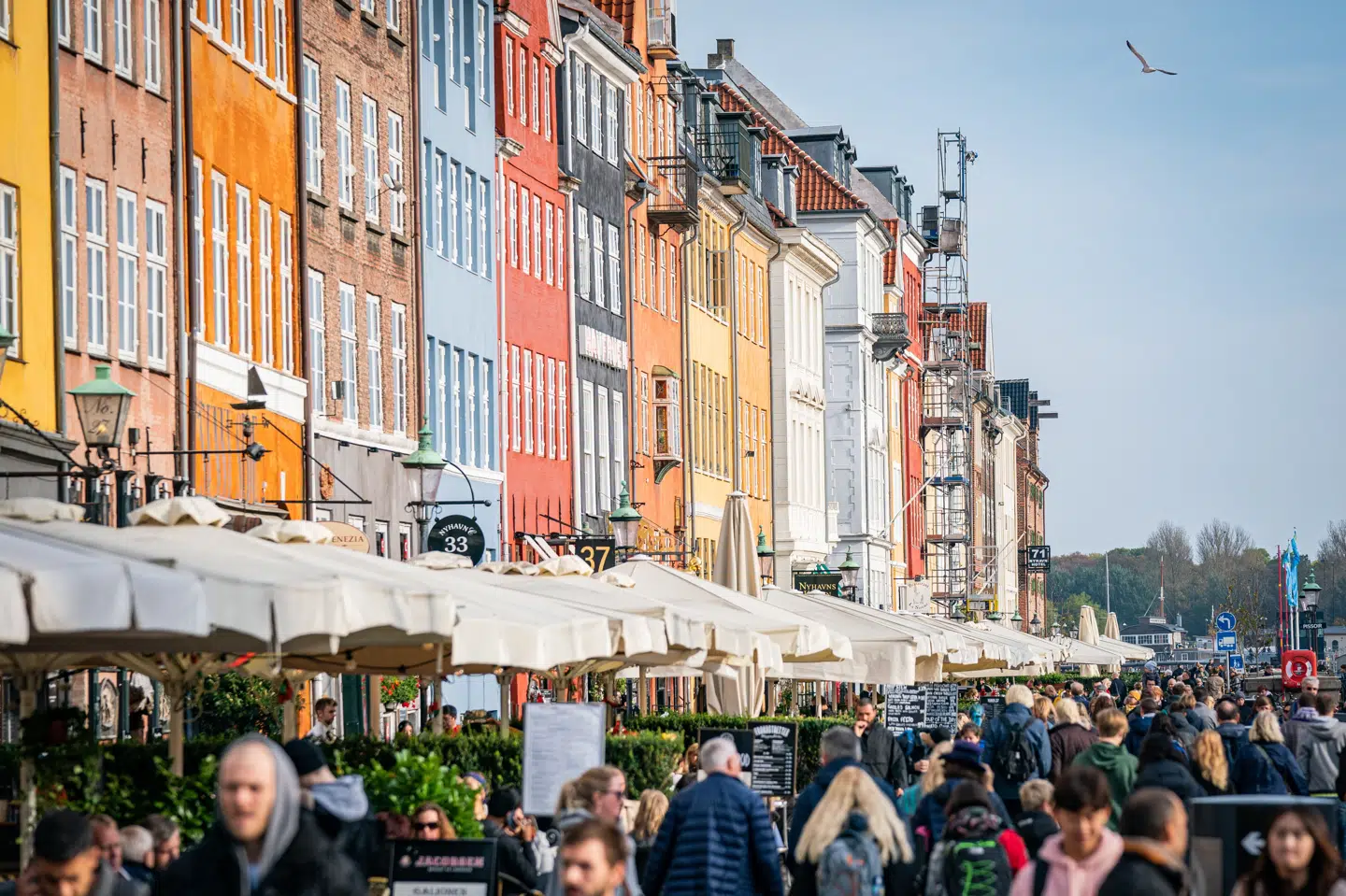 Temperaturerne vil mange dage i efterårsferien ligge omkring de 15 grader. Vindforholdene bliver rolige, og så vil nedbørsmængderne være minimale. (Arkivfoto).