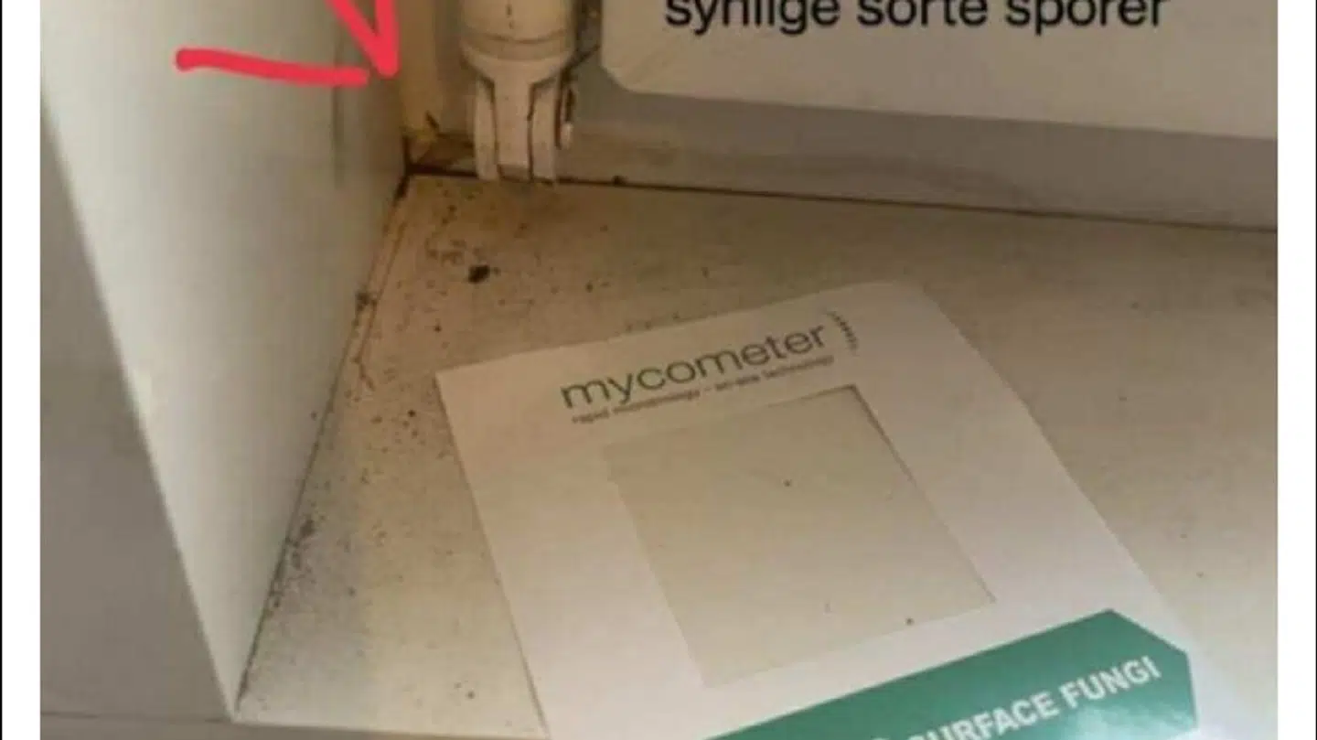 Test ved vindueskarmen, hvor der ses tydelige mørke misfarvninger lige over prøven.
