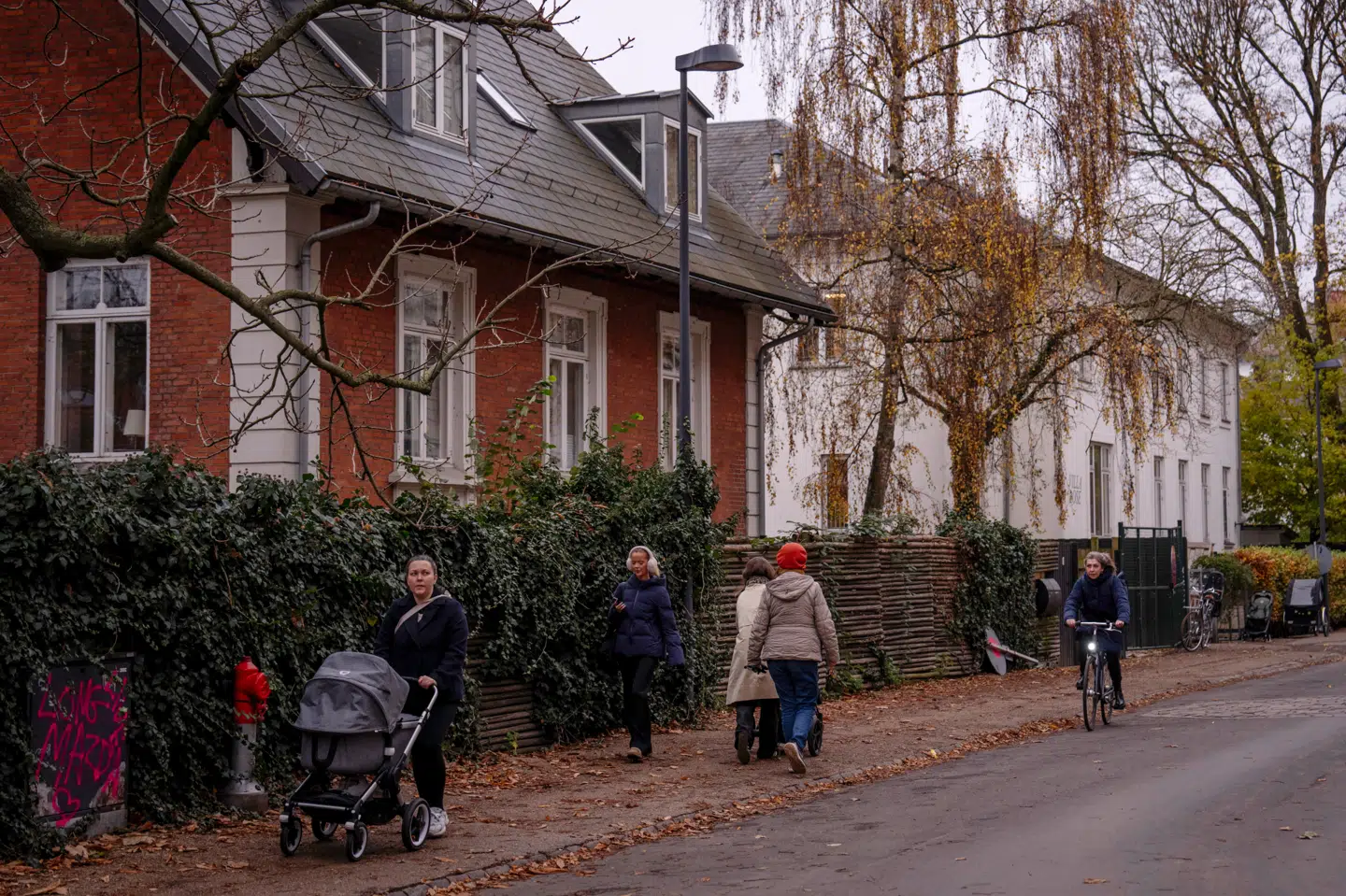 Advokat Allan Ohms gennemgår reglerne for samboforhold og beskriver, hvordan to enker kan bo sammen uden at påvirke deres økonomiske rettigheder og sociale ydelser.