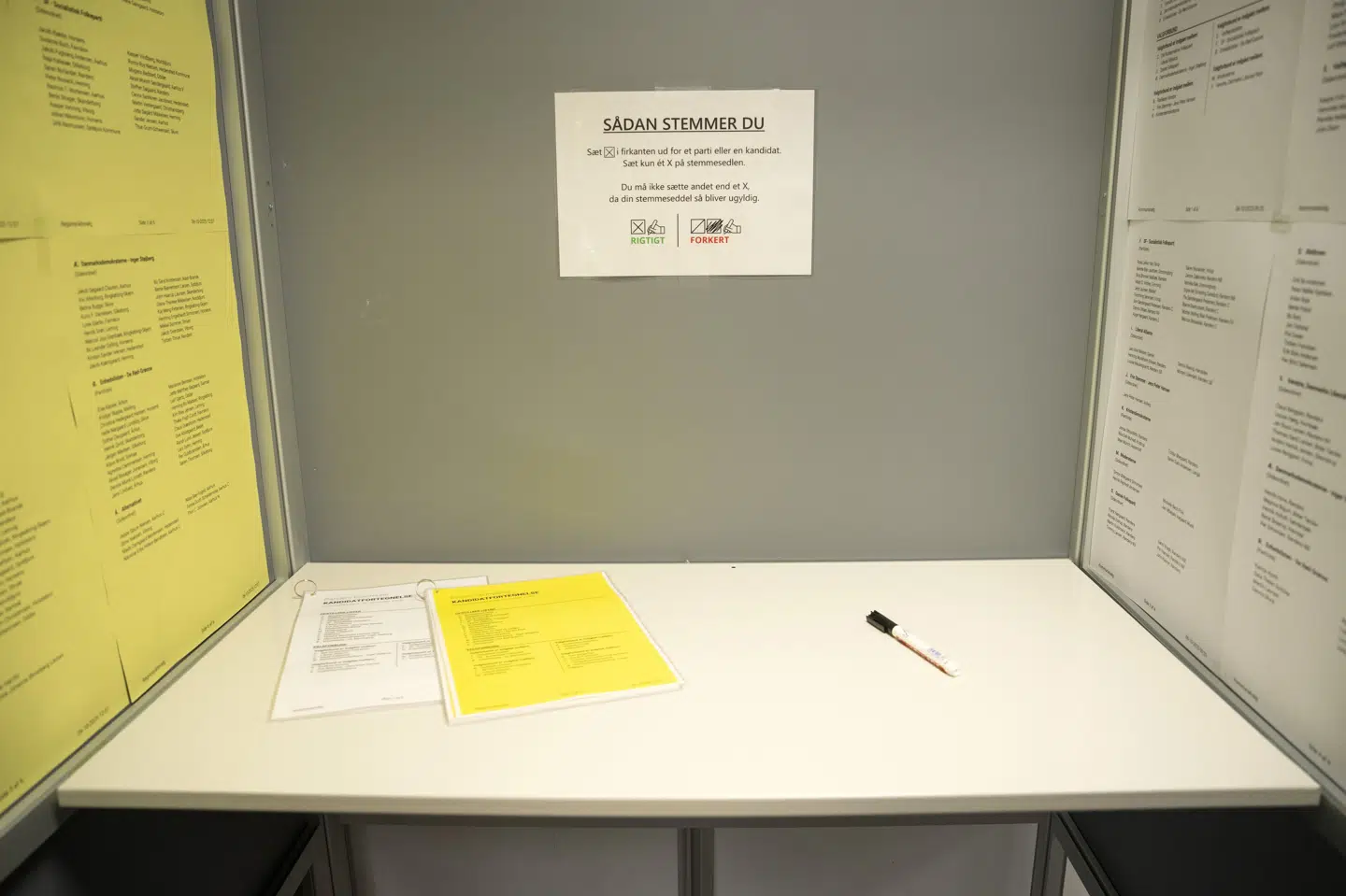 KV25: 18. november skal vælgerne stemme til kommunalvalget. I år er en tredjedel af kandidater kvinder. Dermed følger valget tidligere kommunalvalg, hvor der også har været markant flere mænd opstillet end kvinder.