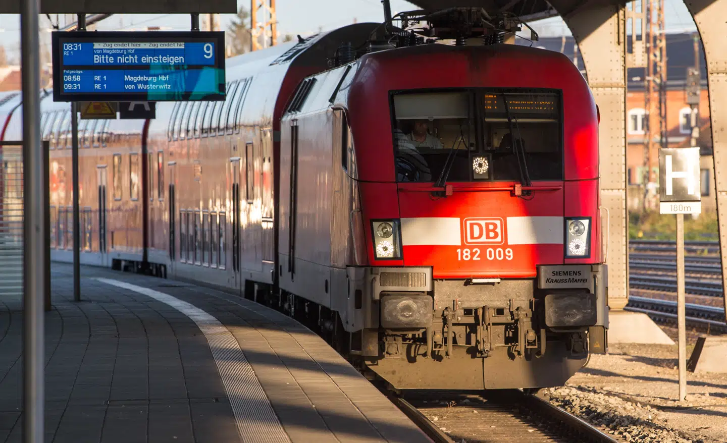 Flere høns blev transporteret mellem Essen og Köln på 1.-klasse. Foto: Patrick Pleul, Scanpix.