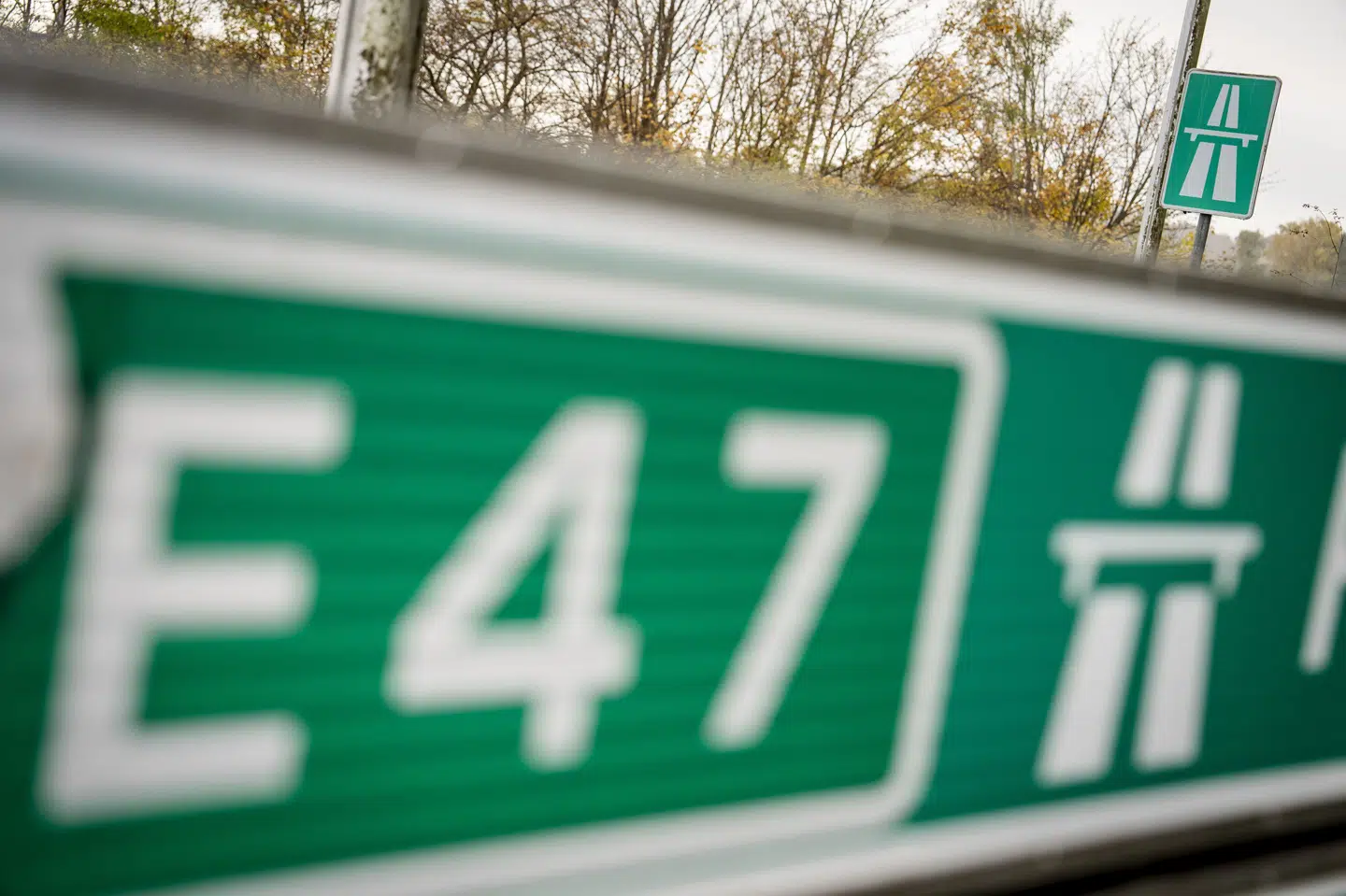 Når udenlandske virksomheder kører med passagerer i Danmark, må de ikke udføre to kørsler i løbet af en kalendermåned, hvis der er mere end en uge mellem transporterne. (Arkivfoto).