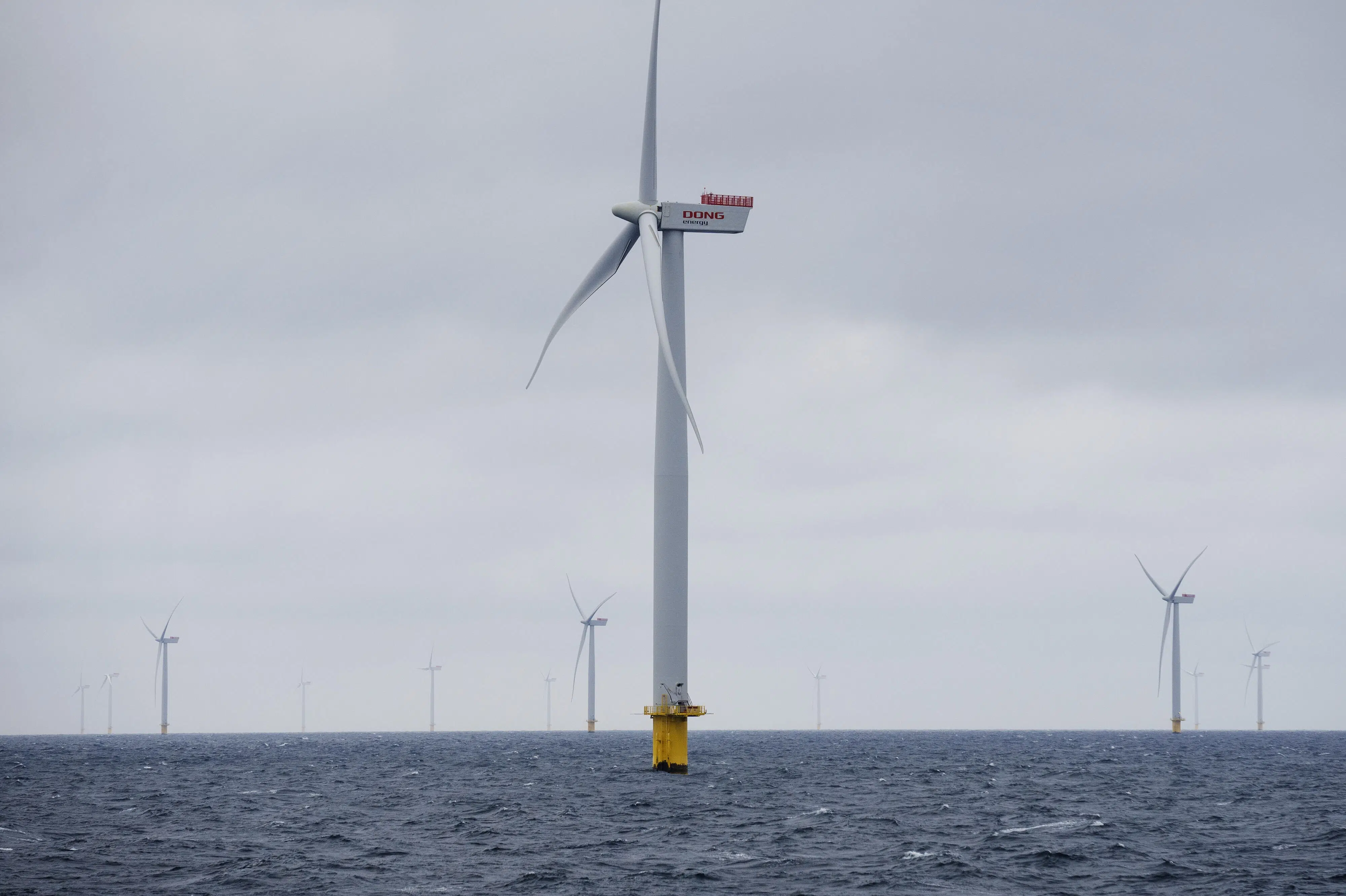 Colombia får tilbud fra danskforvaltet selskab om havvind