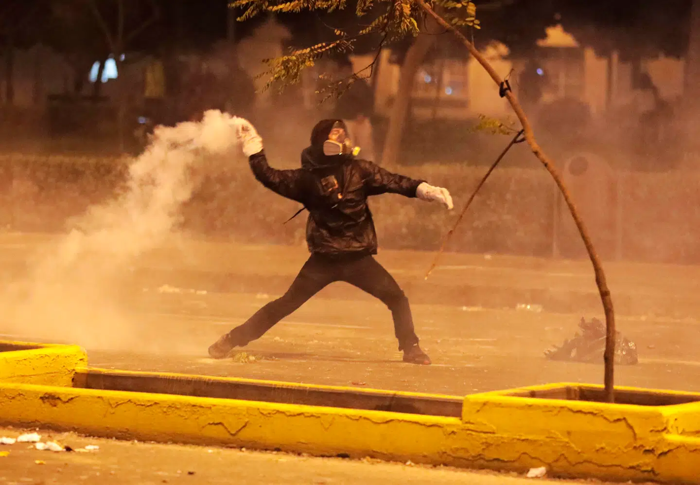 Her ses en demonstrant under en protest den 15. oktober i Lima.