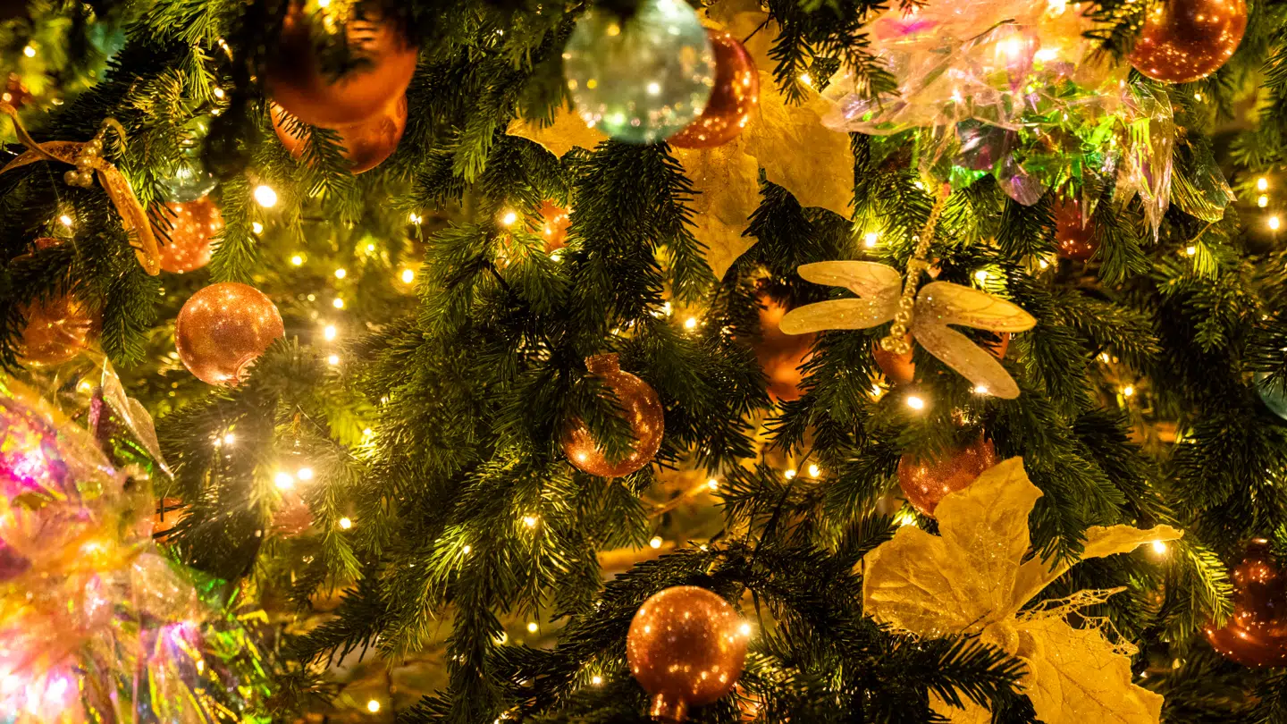 Flere og flere familier søger om økonomisk hjælp til mad og gaver i julen.