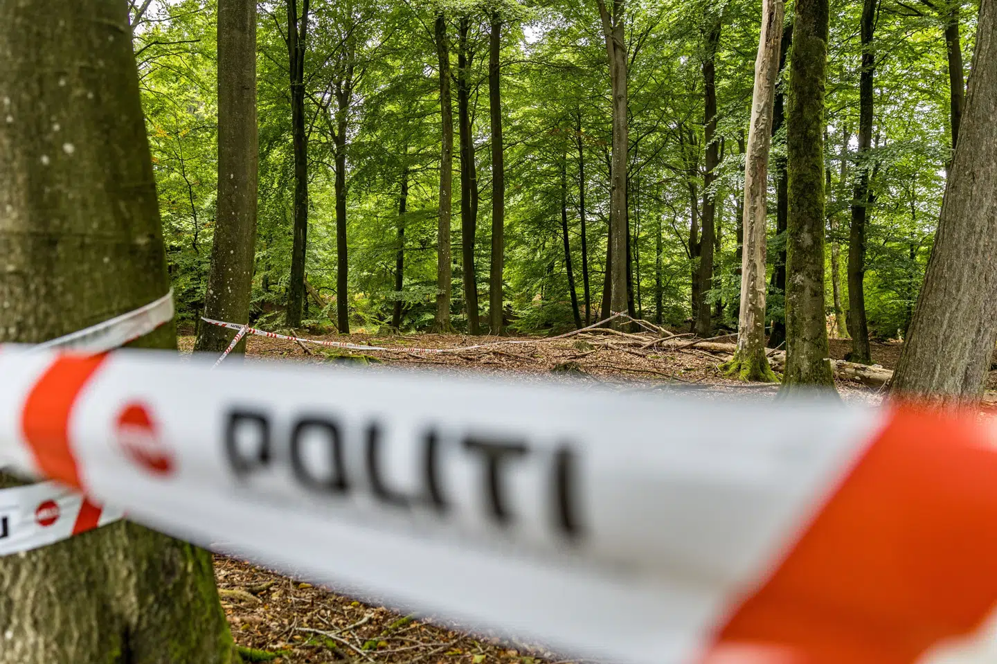 Sydsjællands og Lolland-Falsters Politi afspærrede 20. september et område nær Hestehavevej i Rønnede efter fundet af en død mand. Politiet har senere konkluderet, at manden blev dræbt. (Arkivfoto).