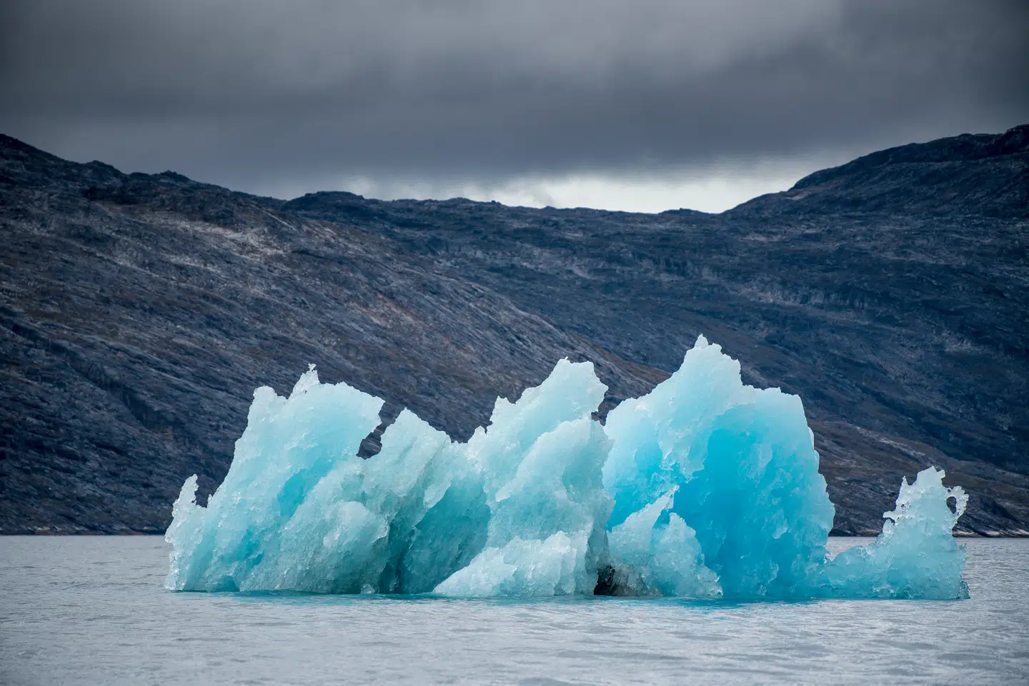 Isbjerge smelter i fjorden nær Nuuk i Grønland. Foto: Mads Claus Rasmussen, Scanpix