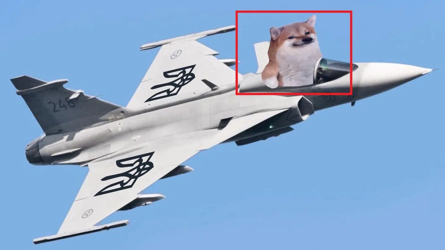 En japansk Shiba Inu-hund om bord på et svenskproduceret Gripen-jagerfly blev onsdag delt af den svenske ambassade i Ukraine.