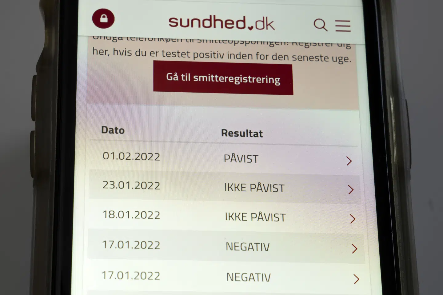 Sundhed.dk er en offentlig sundhedsportal, hvor man blandt andet kan se prøvesvar og lægejournaler. (Arkivfoto).
