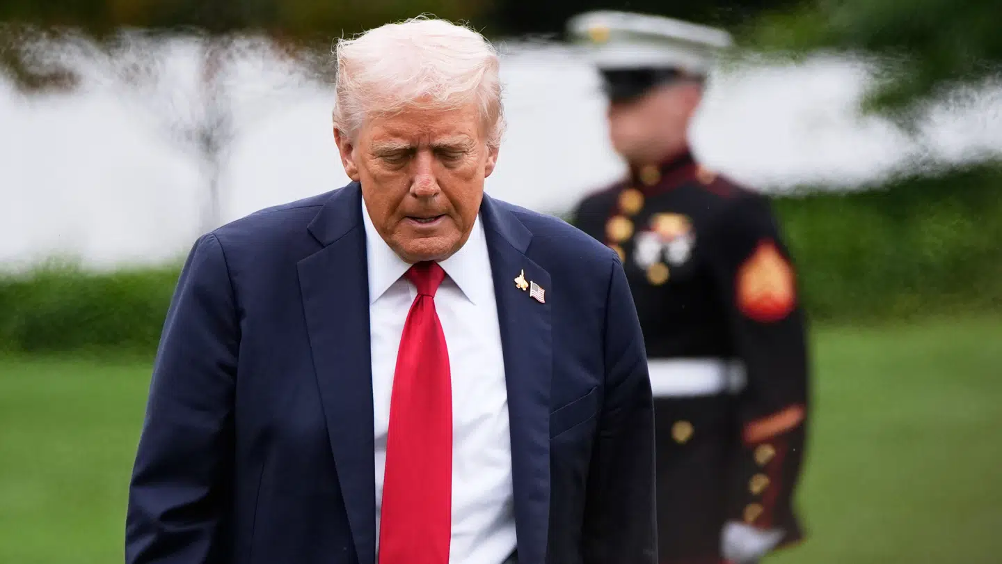 Donald Trump er en af årsagerne til, at demokraterne har fået en række sjældne gode nyheder de seneste dage.