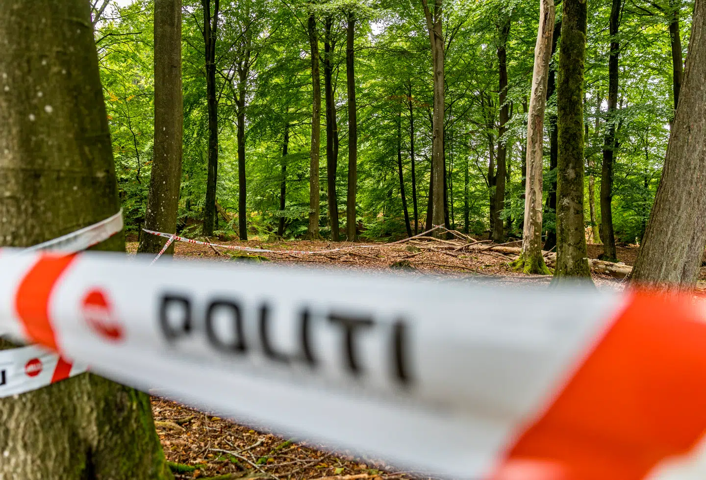 Undersøgelser tyder på, at der er tale om en ulykke.