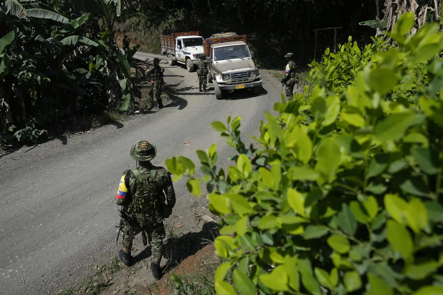 Colombia er verdens største producent af kokain, og oprørerne fra EMC kontrollerer produktionen i flere regioner. Oprørerne har tidligere tilhørt guerillabevægelsen Farc. (Arkivfoto).