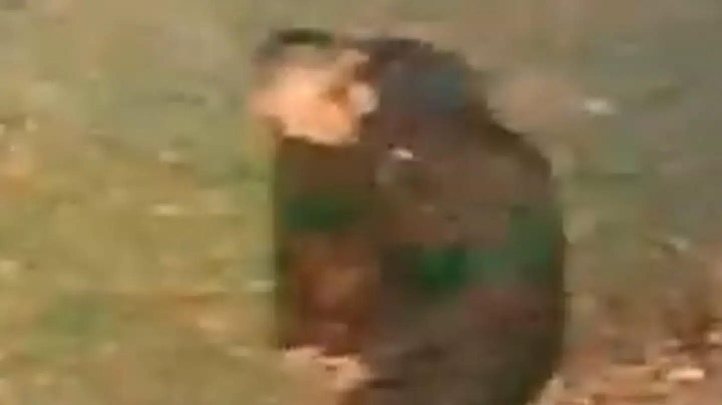 Den mistænkte gerningsmand er blevet fanget på et overvågningskamera.