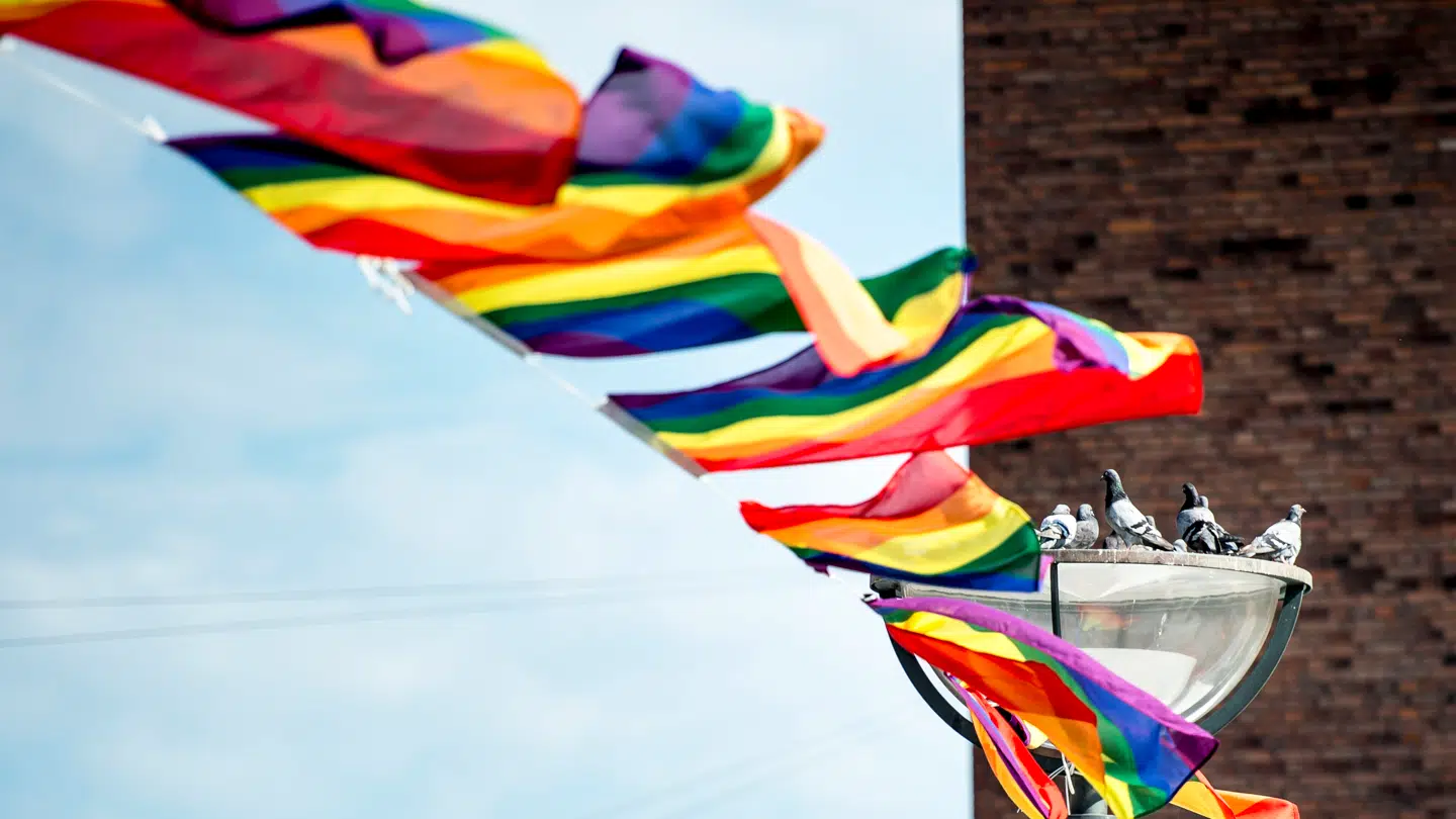 Regnbueflag som disse på børnenes skole fik influenceren Salma Naddaf til at forlade Danmark og vende hjem til Syrien.