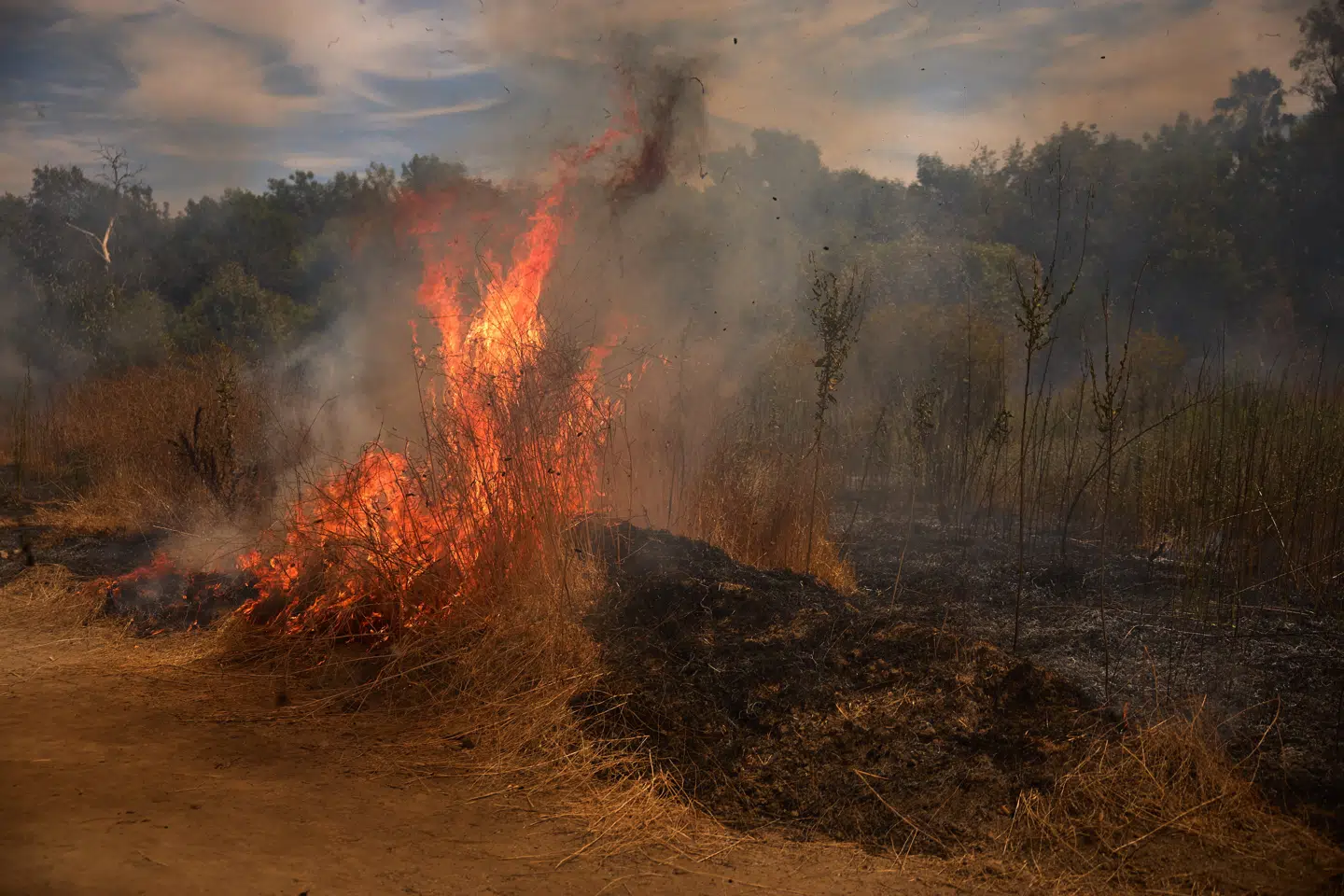Los Angeles blev ramt af hedebølge og skovbrande i august. Foto: Allison Dinner, Scanpix