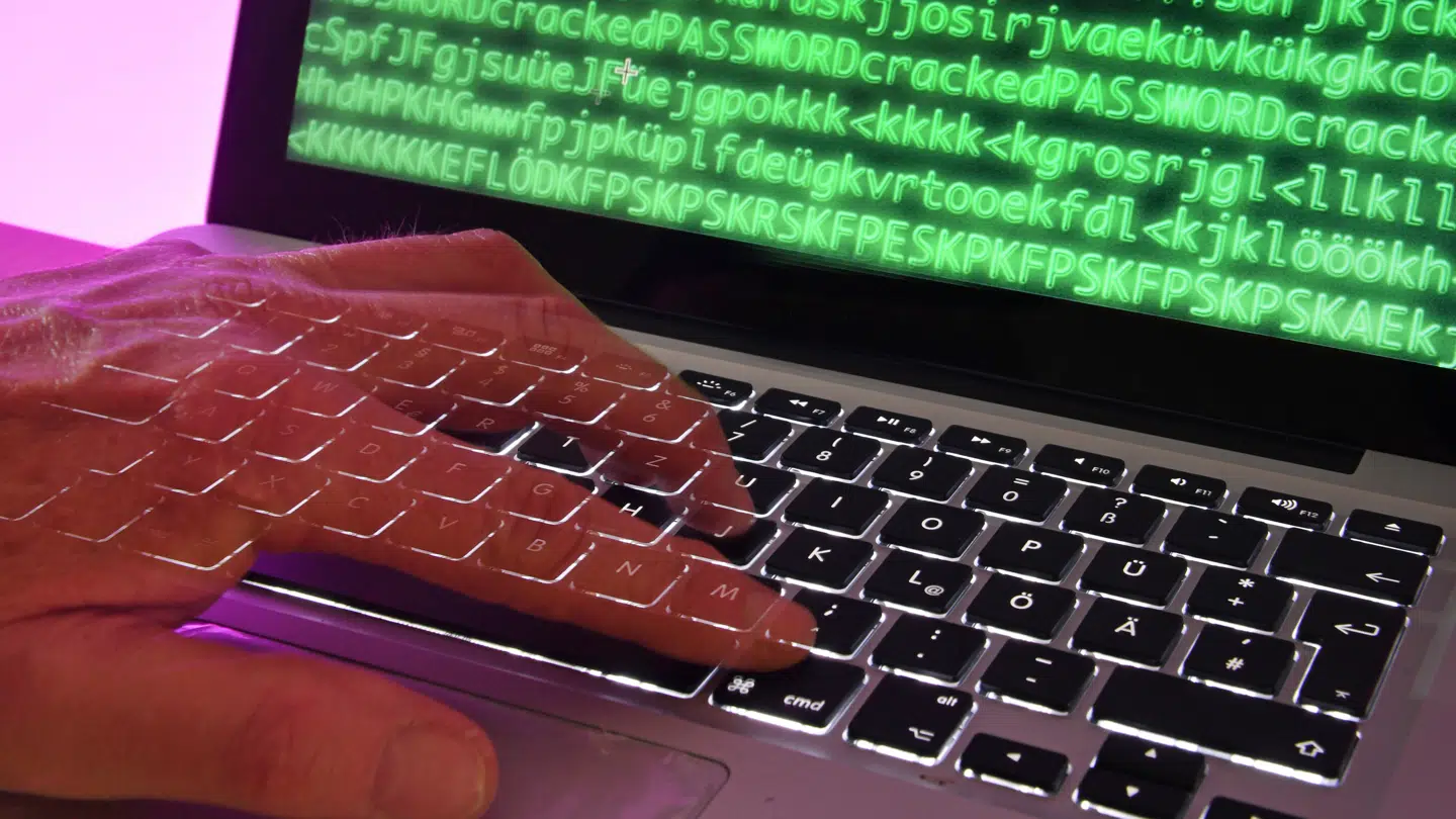 Lækket er blevet opdaget i sidste uge.