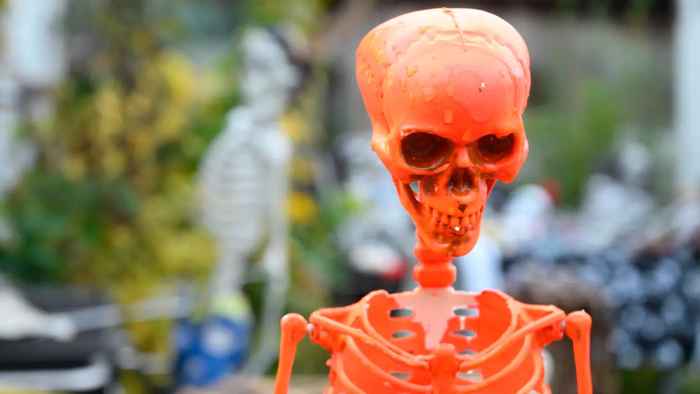 Det er en god idé at være ekstra opmærksom på det halloweenpynt, der kommer i kontakt med mad- eller drikkevarer.