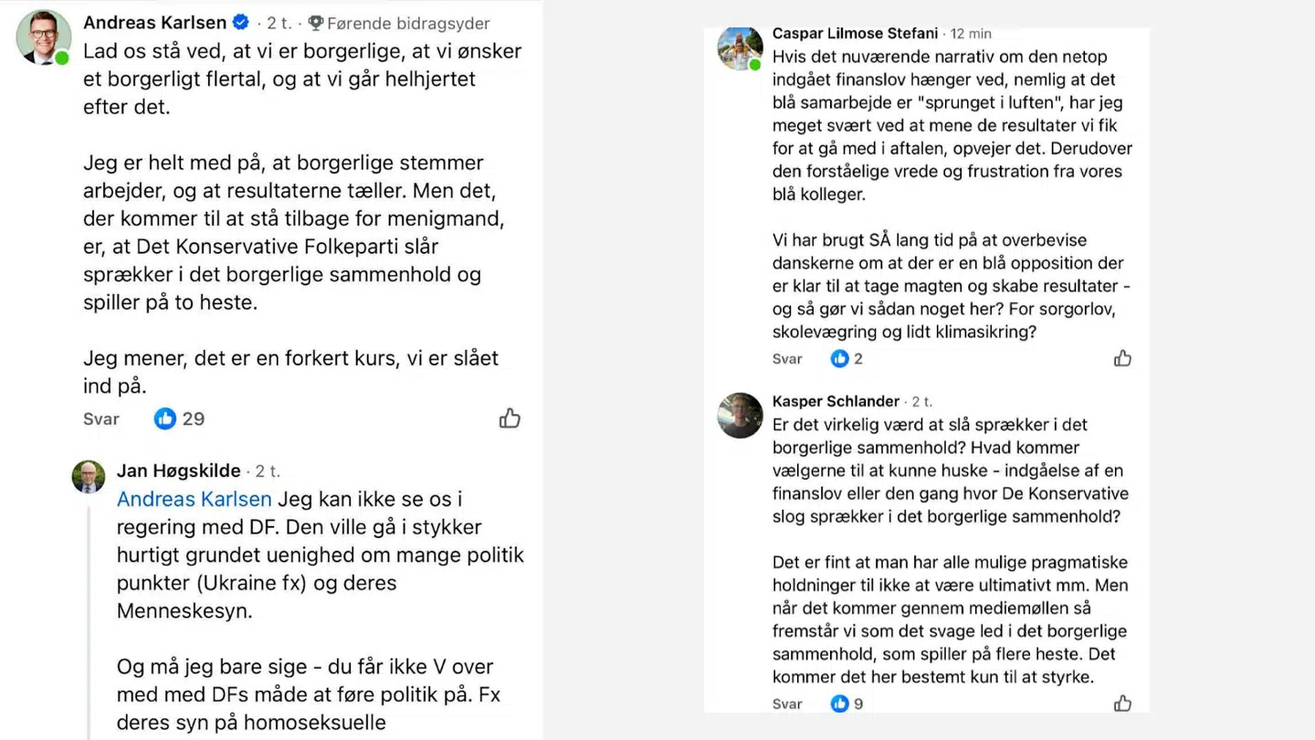 Her ses et udsnit af de kommentarer, der var under Facebookopslaget i den interne FB-gruppe.