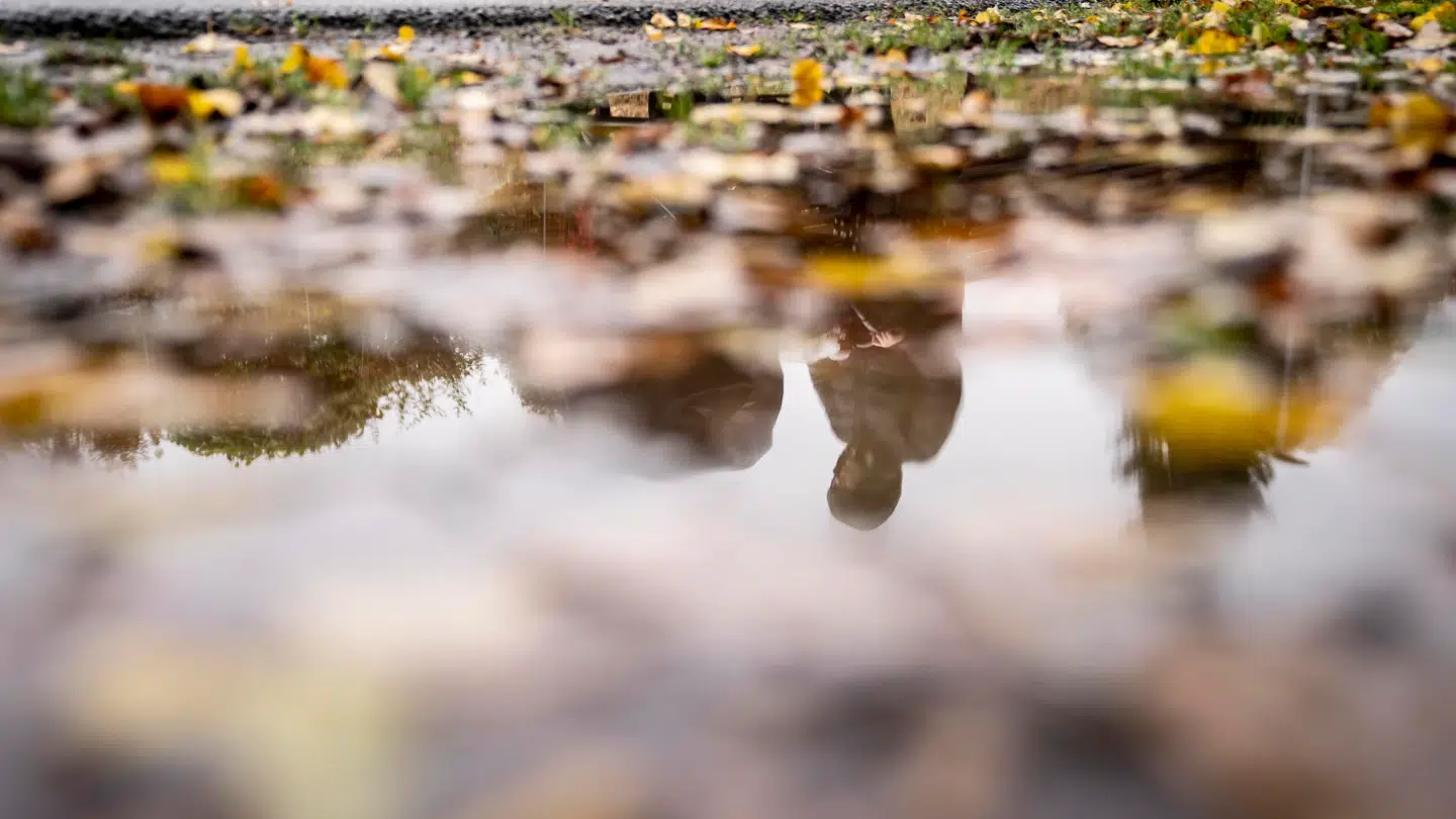 Regn og gråt vejr er ikke til besvær - hvis du bare husker regnfrakken.