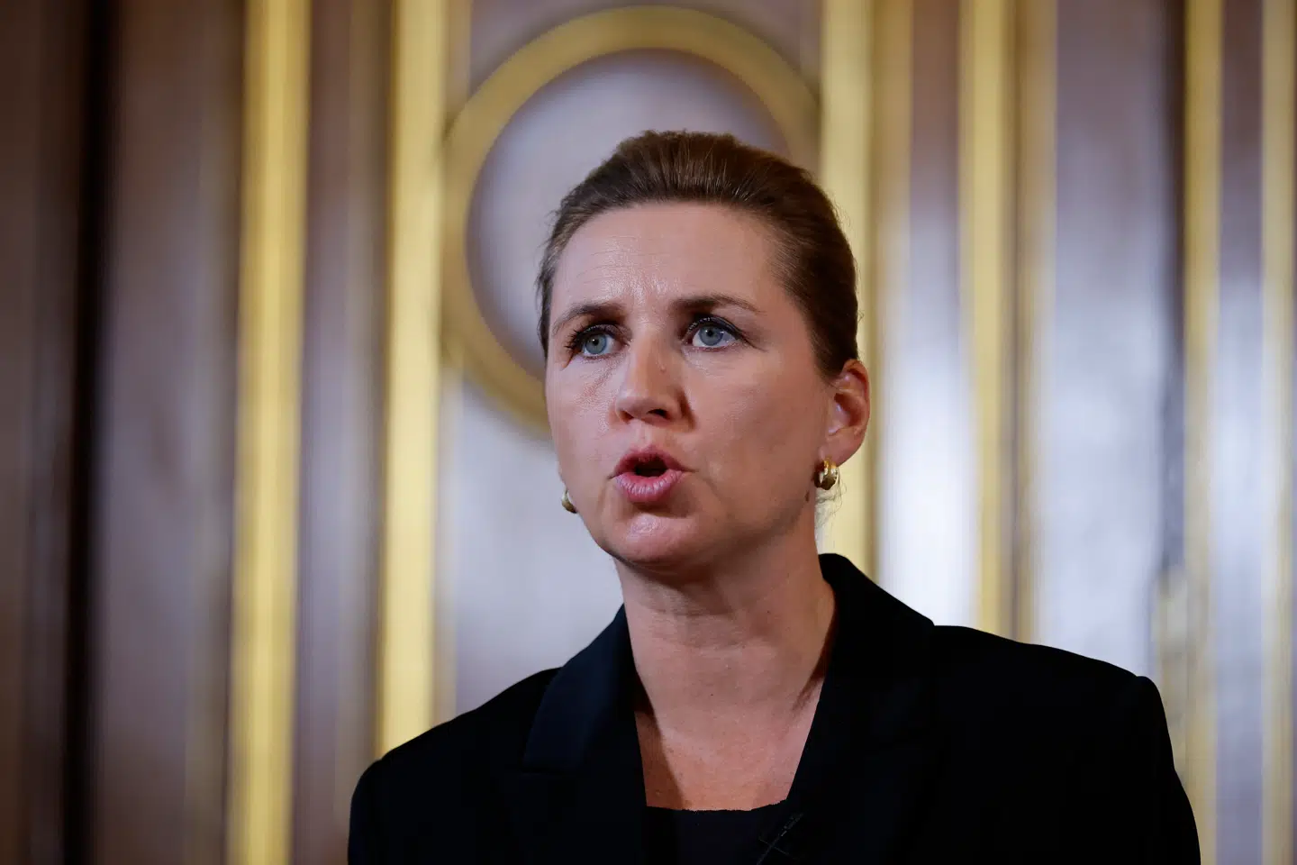 En række partier fra rød og blå blok kræver en undersøgelse af forløbet, hvor myndighederne forsøgte at genskabe Mette Frederiksens slettede sms'er fra minksagen.