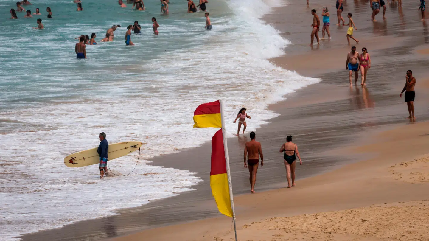 En tur på stranden kastede den vilde opdagelse af sig.