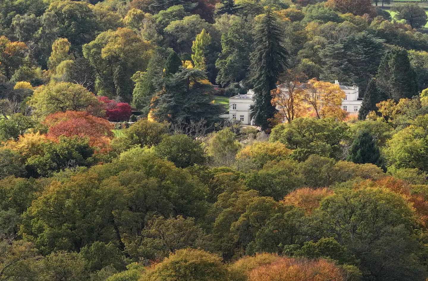 Royal Lodge er omgivet af skov og har egen privat indgang med kongelige vagter til.