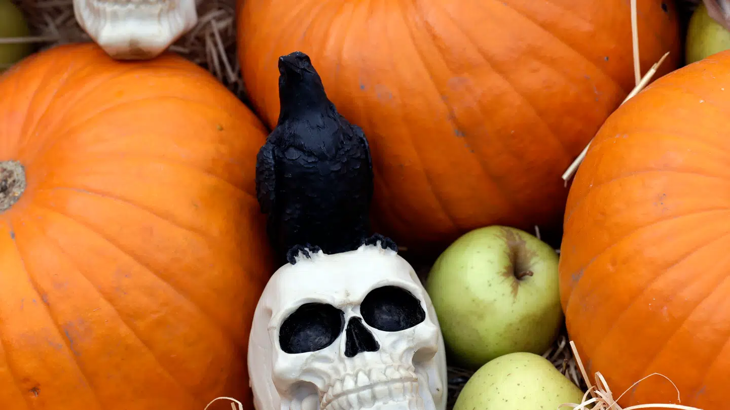 ILLUSTRATIVT. Halloweenudsmykning.