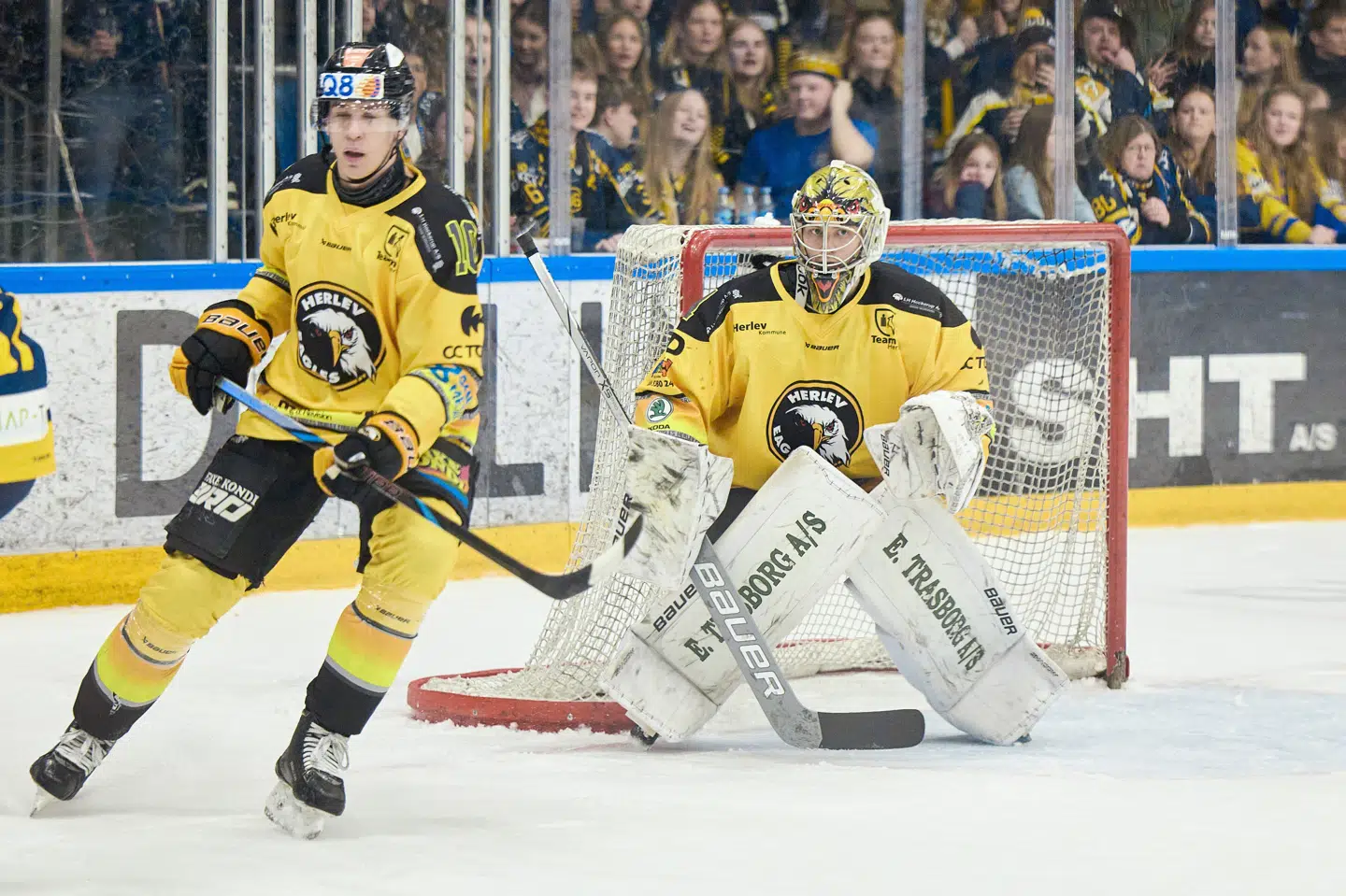 Herlev Eagles fører Metal Ligaen efter 15 spillerunder. (Arkivfoto).