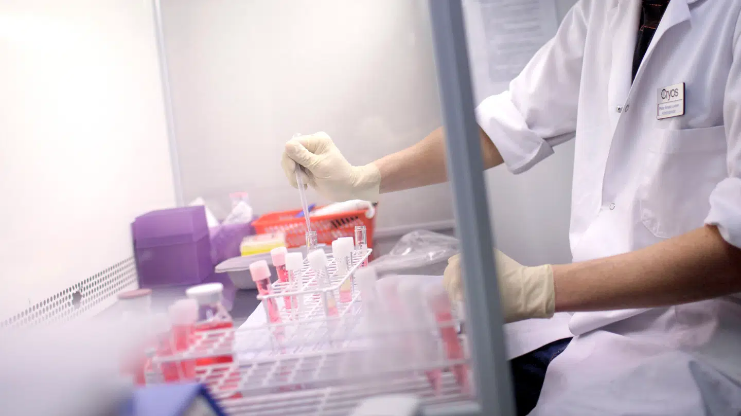 Flere barn er blevet født i Belgien med dårlig sæd.