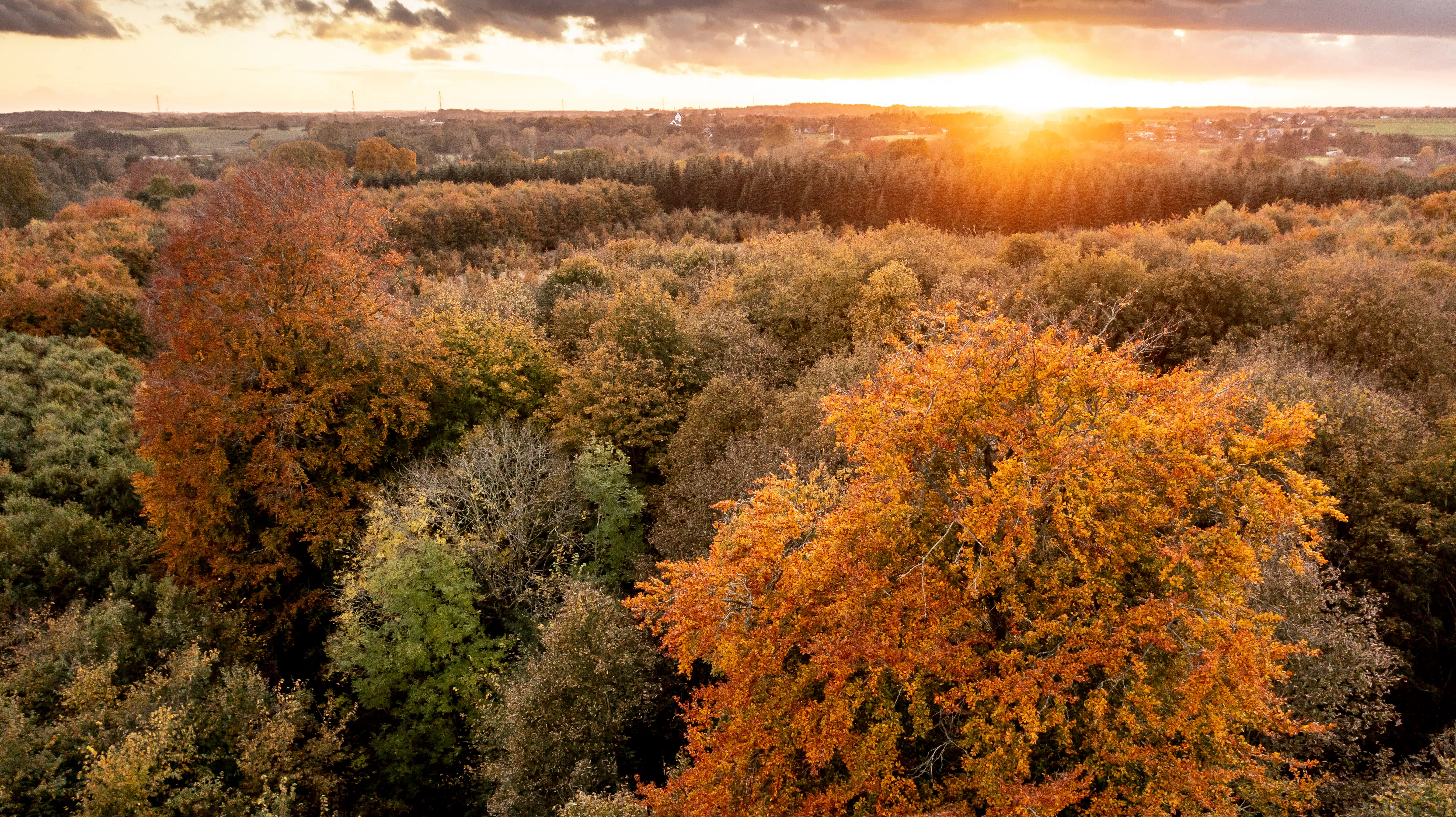 Lune novembertemperaturer på vej: Bilister skal passe på fra morgenstunden