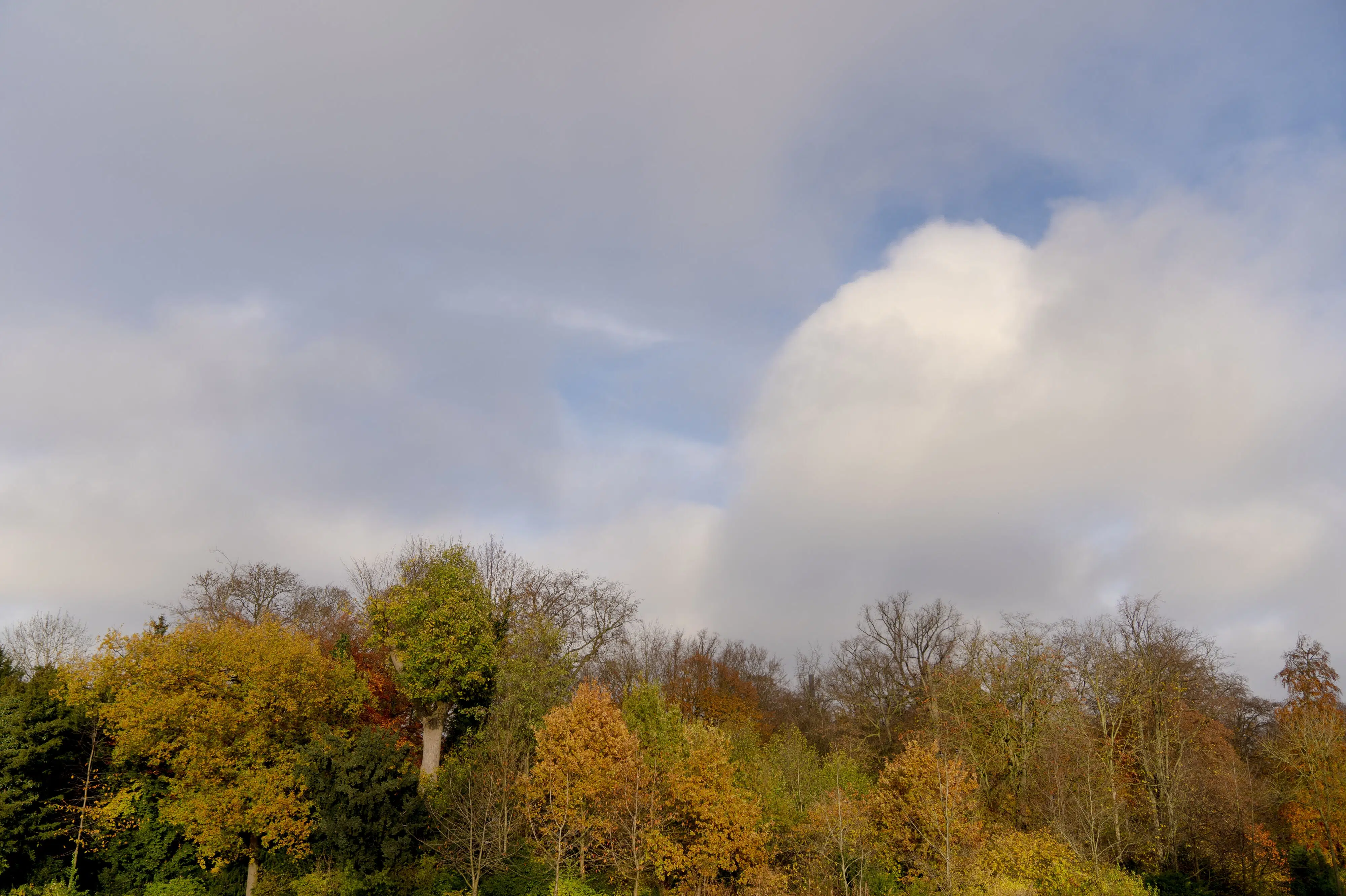 En uge med mildt og skiftende novembervejr står for døren