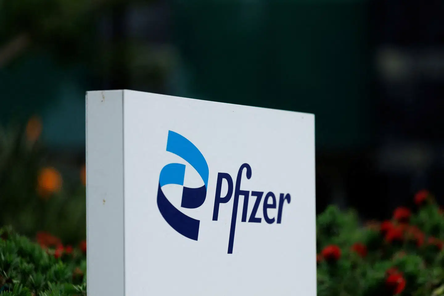 Amerikanske Pfizer sagsøger Novo Nordisk for anden gang på få dage. (Arkivfoto).