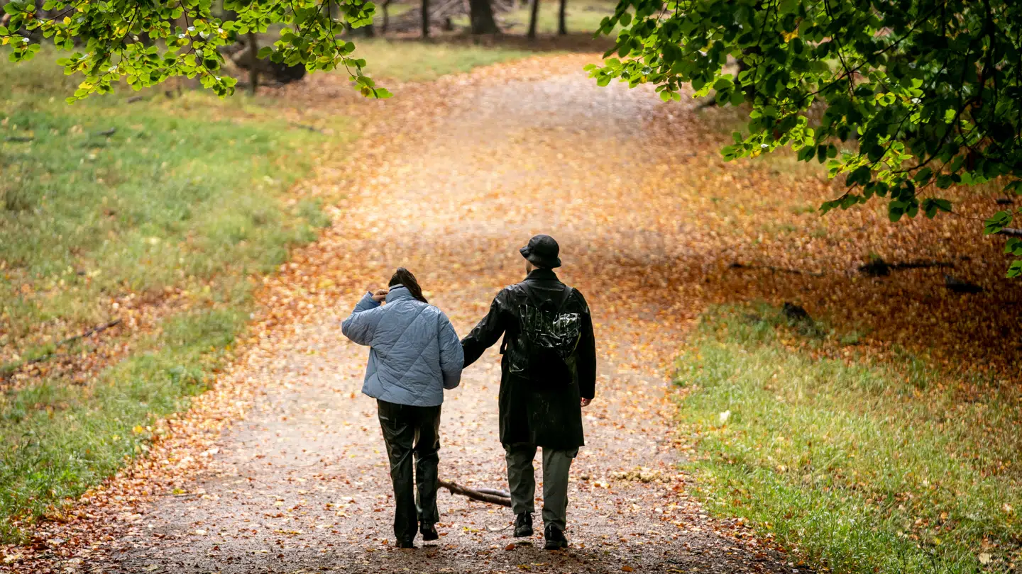 Det milde efterårsvejr fortsætter i Danmark.