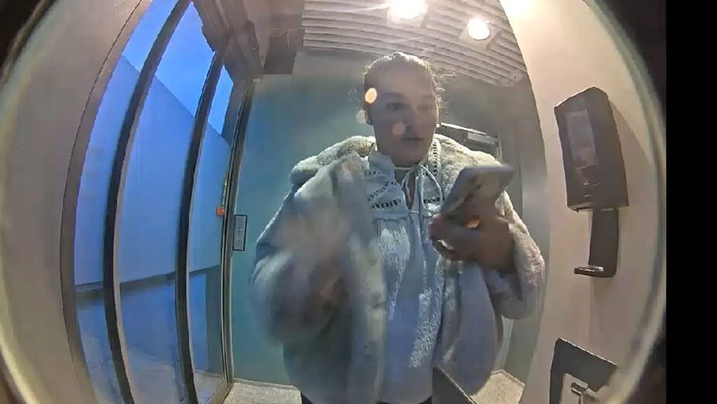 På billedet ses den kvinde, der mistænkes for at franarre de ældre kvinder deres hævekort.