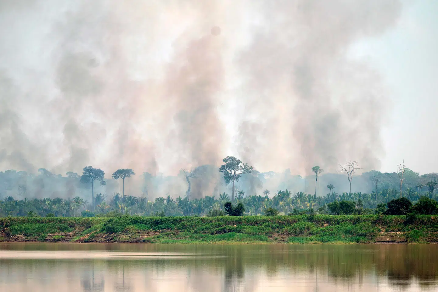 I de senere år er store dele af Amazonregnskoven begyndt at udlede mere CO₂, end dens utallige træer og planter optager fra luften. I absolut værste fald bryder hele det enestående økosystem sammen under pres fra skovrydning og global opvarmning.