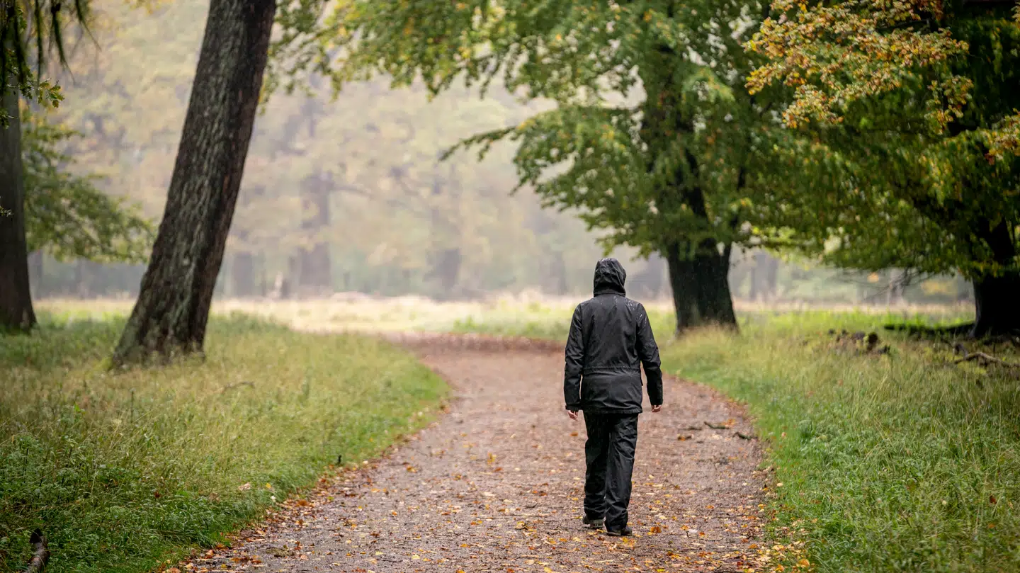 Onsdag vil temperaturen kunne nå 15 grader. Gennemsnitstemperaturen i november er ellers otte grader i dagstimerne.
