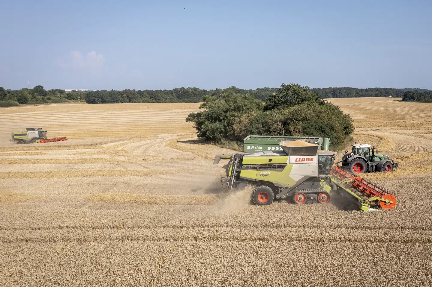 Det er blandt andet hvede, som her høstes ved Lellinge tæt på Køge, som forskere fremover vil gøre mere klimavenlig. (Arkivfoto).