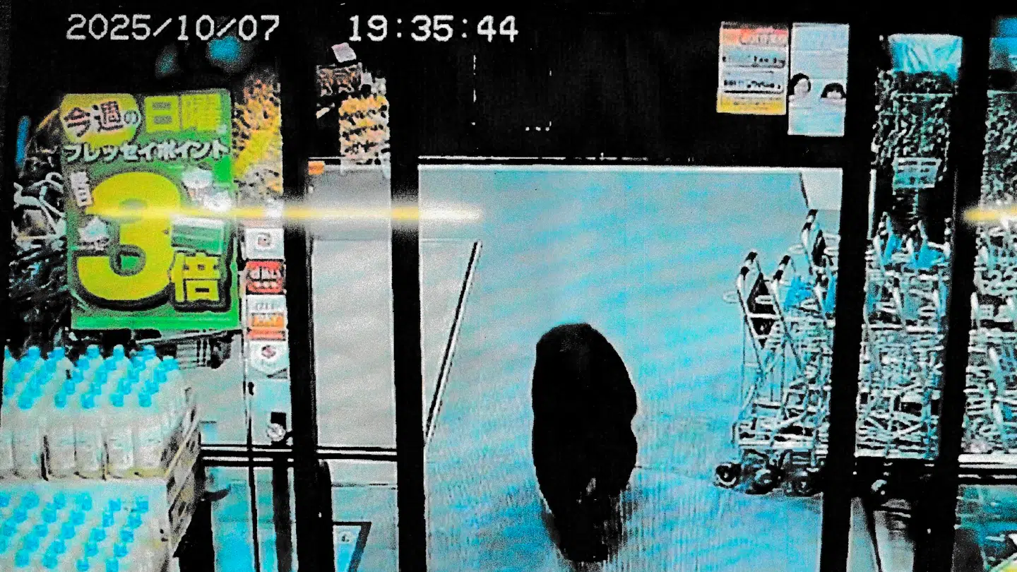 Et overvågningskamera har her fanget en bjørn i oktober bevæge sig rundt i et supermarked.