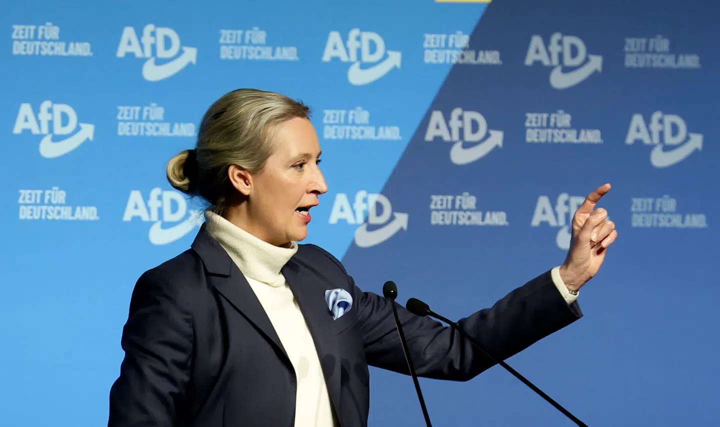 Hvis ikke partiformand Alice Weidel svarer for sig, så gør hun sig »i det mindste medskyldig i mulig landsforræderi«, sagde formanden for CDU og CSU i Forbundsdagen tidligere på ugen.