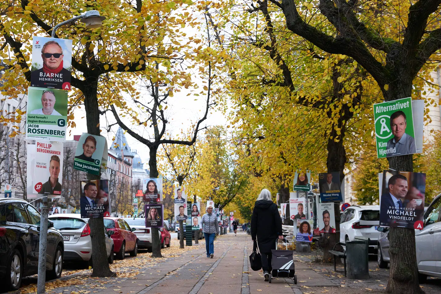 Enhedslisten på Frederiksberg går til kommunalvalg med et forslag om at fjerne en lang række p-pladser på det, der bliver kaldt Danmarks svar på Champs-Élysées.