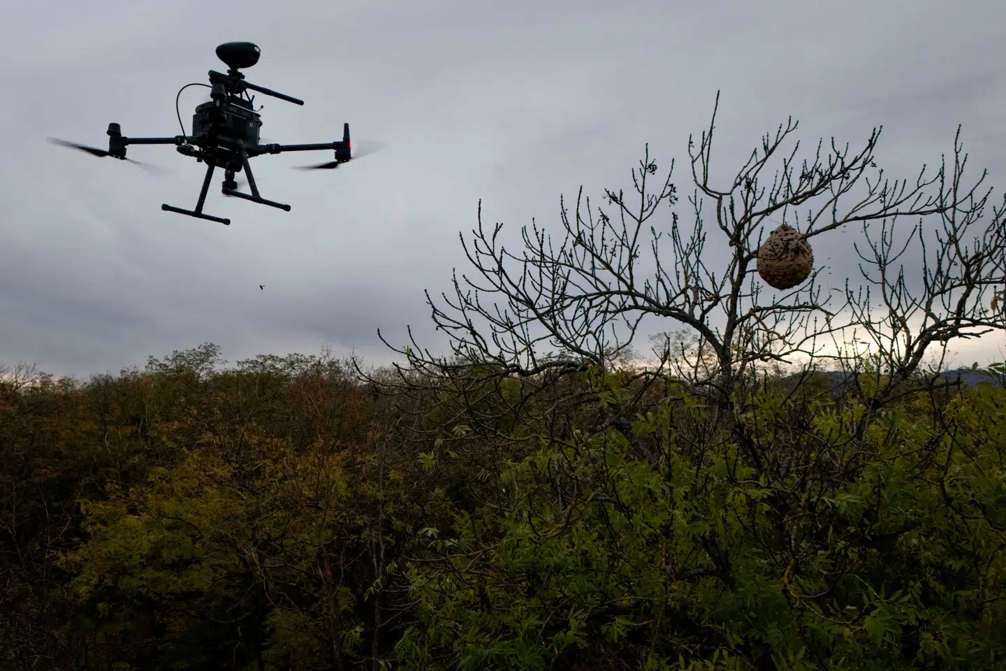 Ny teknologi som billige droner, smartphones og solpaneler udfordrer stormagternes dominans og skaber en ny global magtbalance.