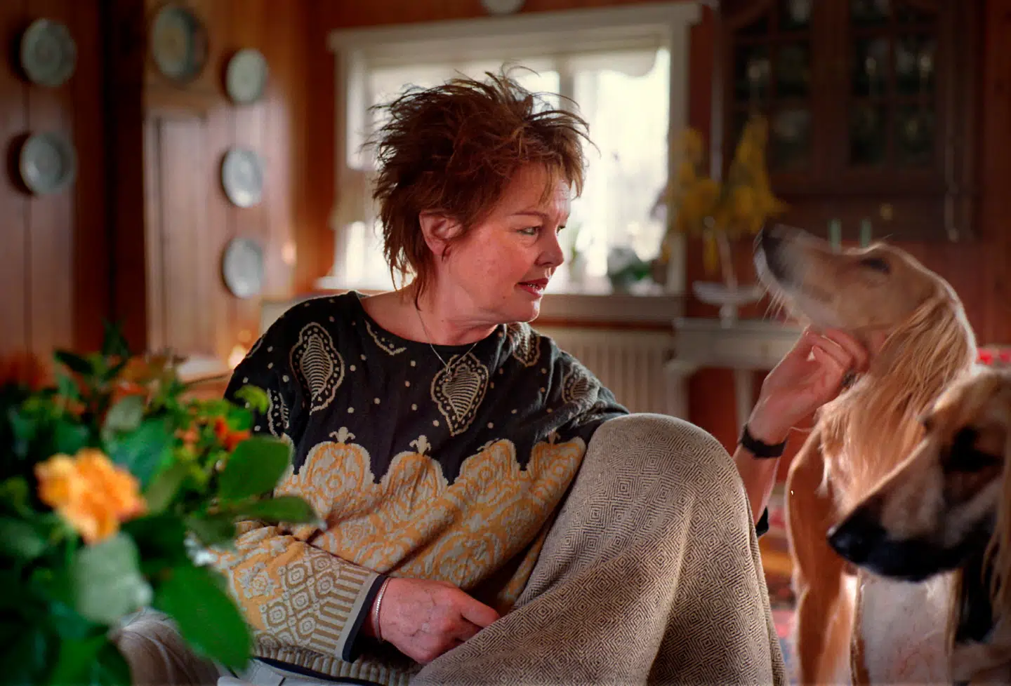 Skuespilleren Ghita Nørby er svært glad for hunde og har haft flere mynder. Da hendes elskede Aki gik bort i 2023, stoppede hun dog med at have hund.