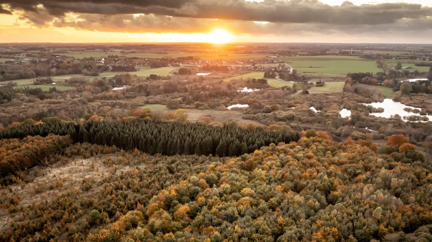 Fredag bliver en blandet pakke bolsjer af både dis og tåge, men også sol.