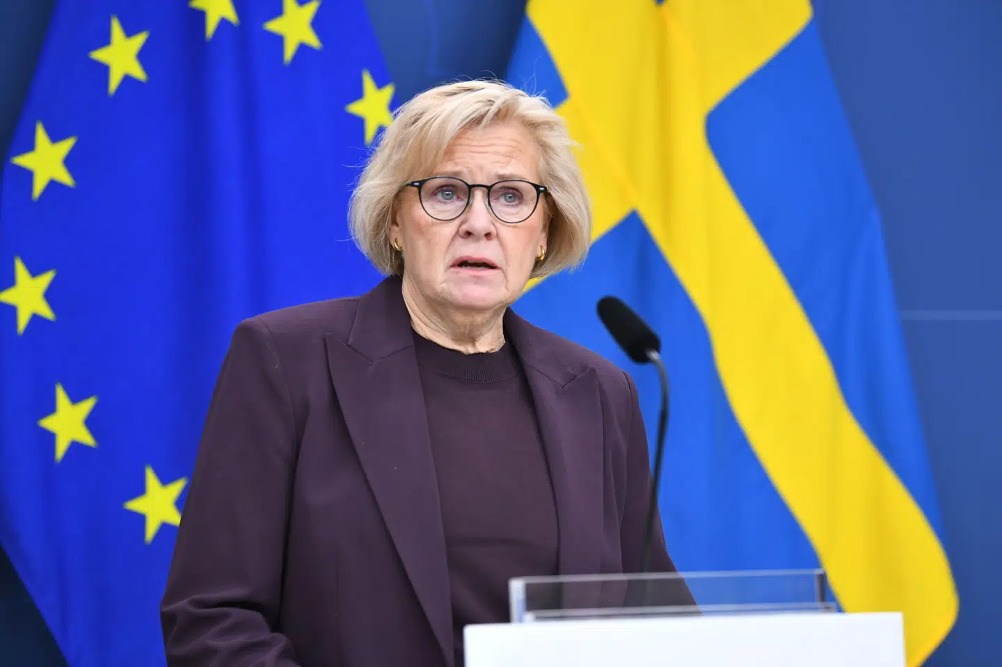 Den svenske rigspolitichef, Petra Lundh, kalder på et pressemøde gruppen af bandekriminelle "alt for stor".