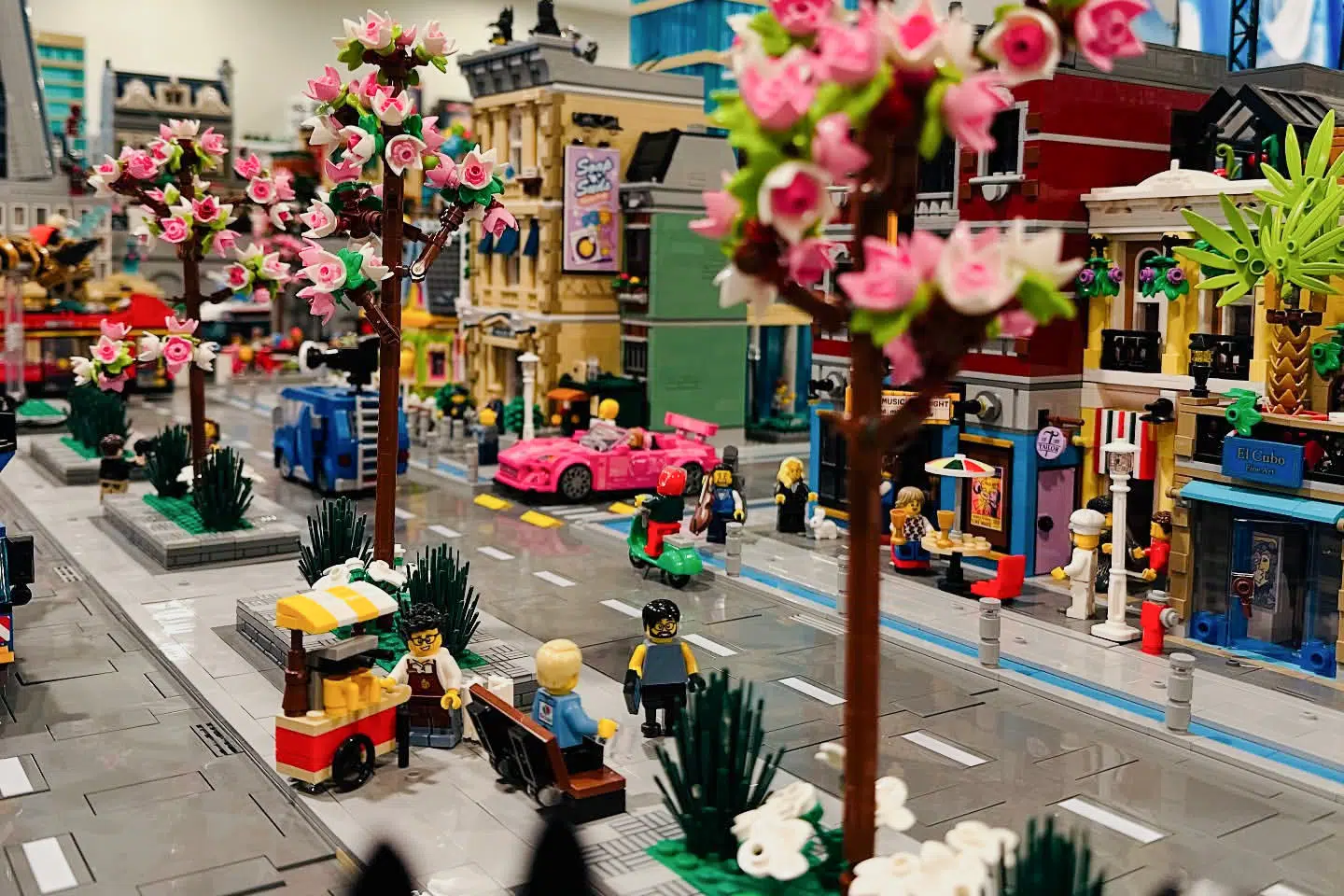 55-årige Cristie Norths hus i Salt Lake City er blevet bygget om flere gange, inklusive nedrivning af vægge, så der kunne blive plads til hendes legetøj. Når Cristie North ikke bygger LEGO, har hun et chefjob i finansverdenen.